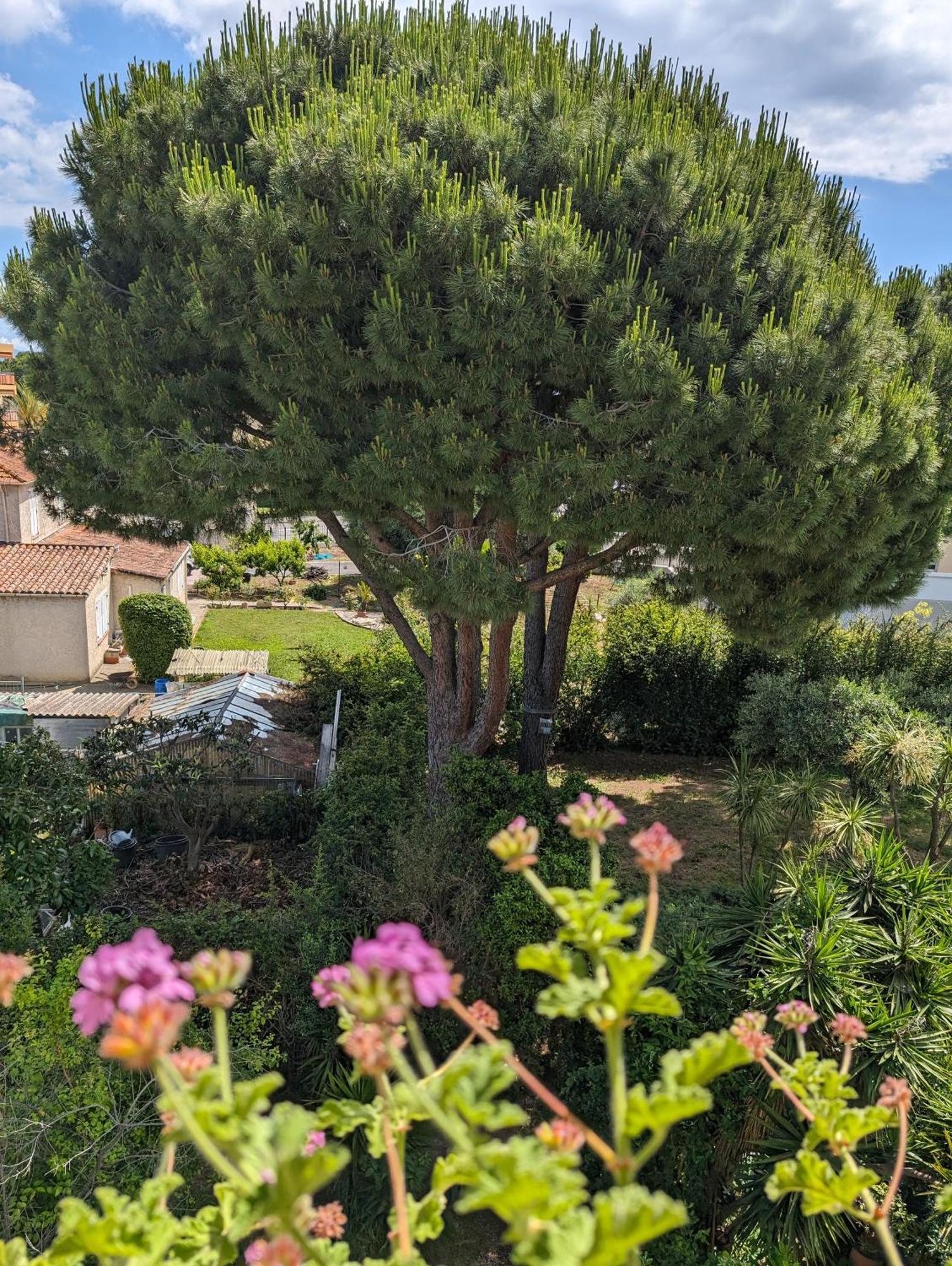 Studio Calme Dernier Etage Antibes Zewnętrze zdjęcie